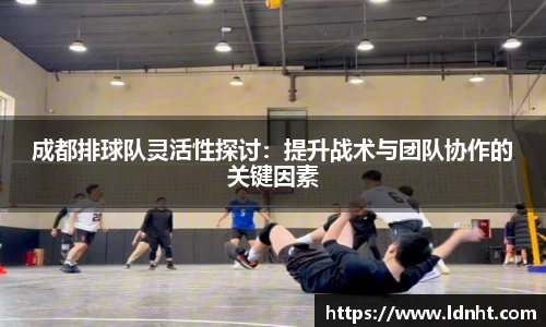 成都排球队灵活性探讨：提升战术与团队协作的关键因素